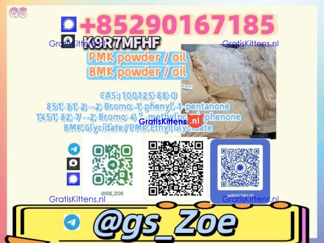 5449-12-7 B.M.K , P.M.K 28578-16-7 -- Verified