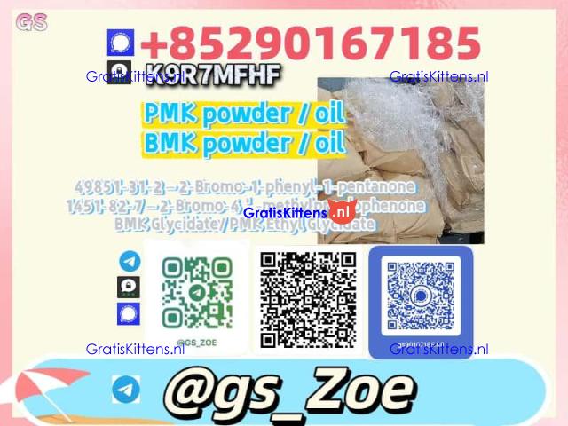 Upgrade P.M.K & B.M.K  with Our New Performance Booster