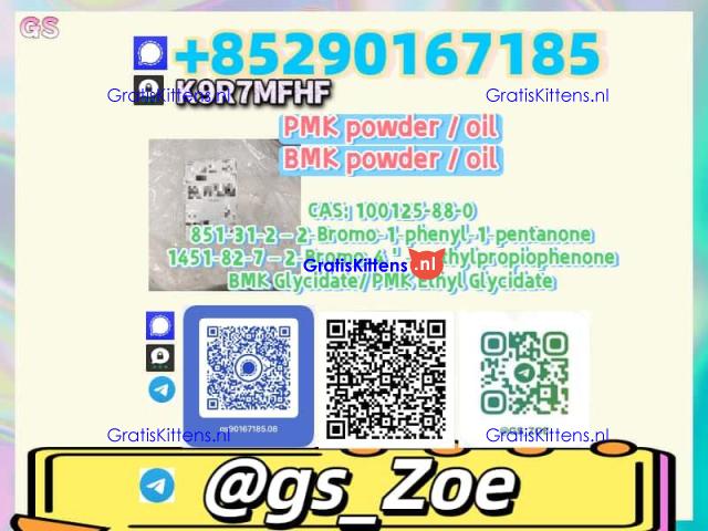 5449-12-7 B.M.K , P.M.K 28578-16-7 -- Limited Intro Pricing