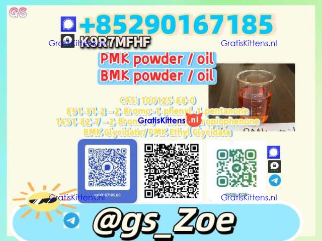 5449-12-7 B.M.K , P.M.K 28578-16-7 -- Limited Intro Pricing