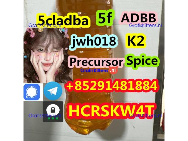high quality 5cladb 5-CL-ADB-A 5cladba cas 2504100-70-1