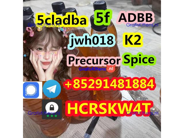 high quality 5cladb 5-CL-ADB-A 5cladba cas 2504100-70-1