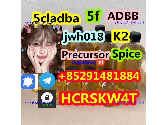 K2 sheets K2 paper Spice oil Precursor raw material