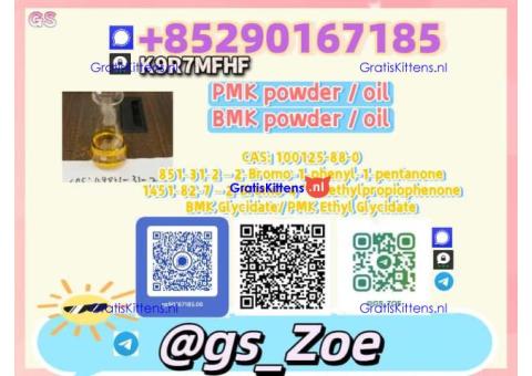 28578-16-7, 5449-12-7 B.M.K , P.M.K - Suited for Various Downstream Processes