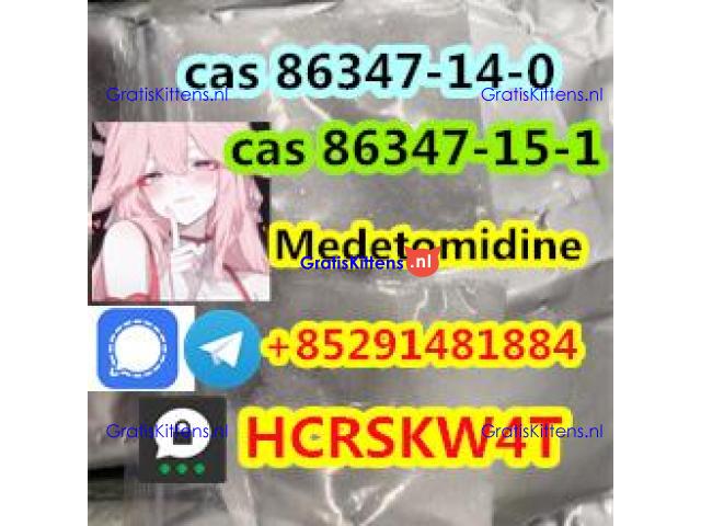 strongest Medetomidine cas 86347-15-1 cas 86347-14-0