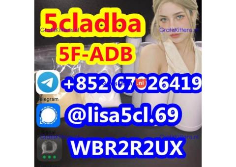 5F -ADB 5cladba Adbb JWH-018 A-PVP EU precursor