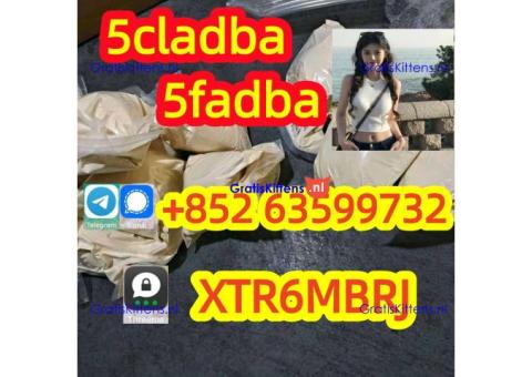 Precursor Kit 5cladba Adbb 5cl 5cladba 5fAdb jwh018