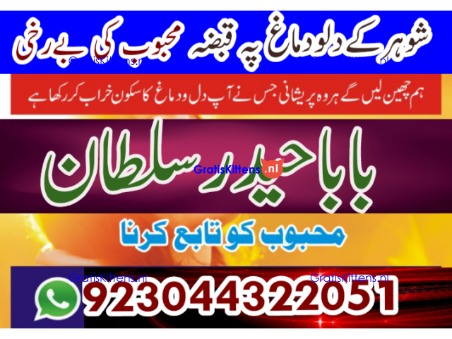 amil - no1+ uk amil baba in pakistan authentic amil in pakistan