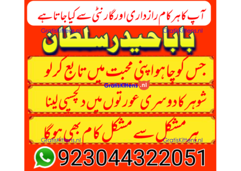 Top 1 Amil Baba in Pakistan | Amil baba in Lahore