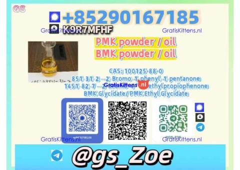 99% Purity  B.M.K 5449-12-7, P.M.K 28578-16-7 | Trusted Factory