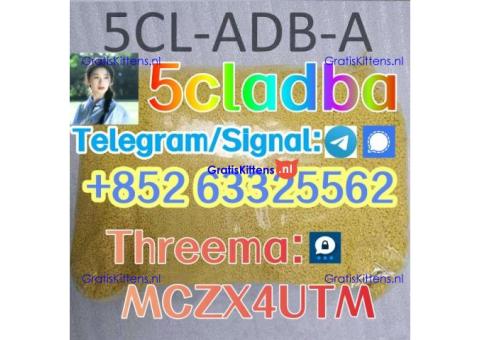 Eu 5cladba precursor raw 5cl-adb-a 5cladba