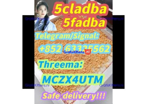 5CL-ADBA Supplier 5cladba 5cladba Vendor On Sale Now