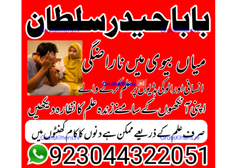 amil - no1+ uk amil baba in pakistan authentic amil in pakistan