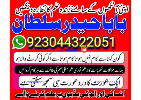 amil - no1+ uk amil baba in pakistan authentic amil in pakistan