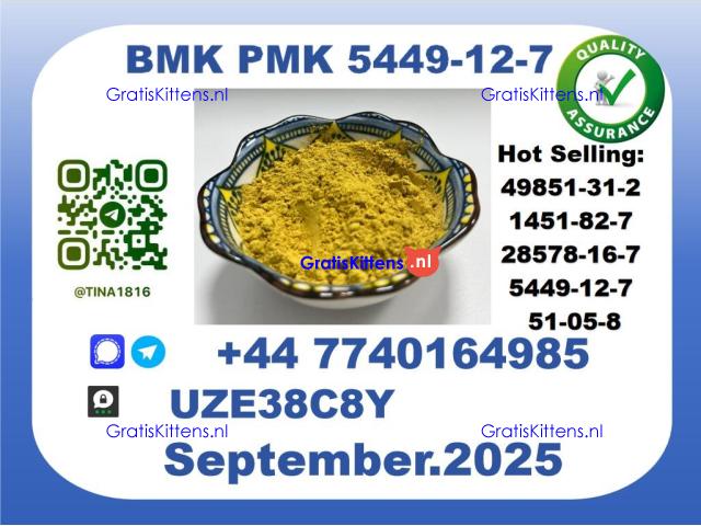 BMK PMK, CAS 5449-12-7 toppest Factory Supplier