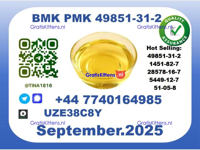 BMK PMK Oil,CAS 49851-31-2 toppest Factory Supply