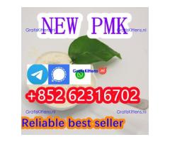 Buy new PMK fast delivery new BMK powder 2025 hot sale
