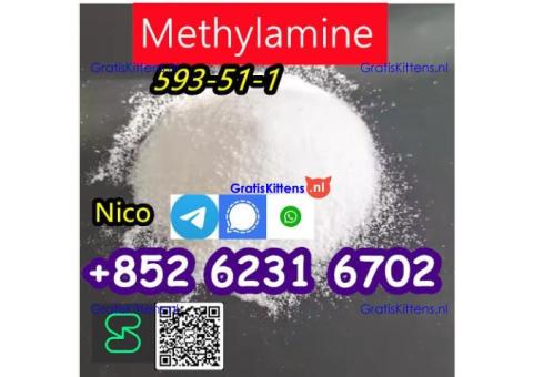 how to buy Hot sales CAS 593-51-1 Methylamine HCl with good quality