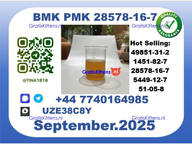 CAS 28578-16-7 B.M.K P.M.K Certified Factory Supply