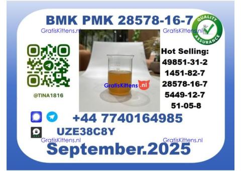 CAS 28578-16-7 B.M.K P.M.K Certified Factory Supply