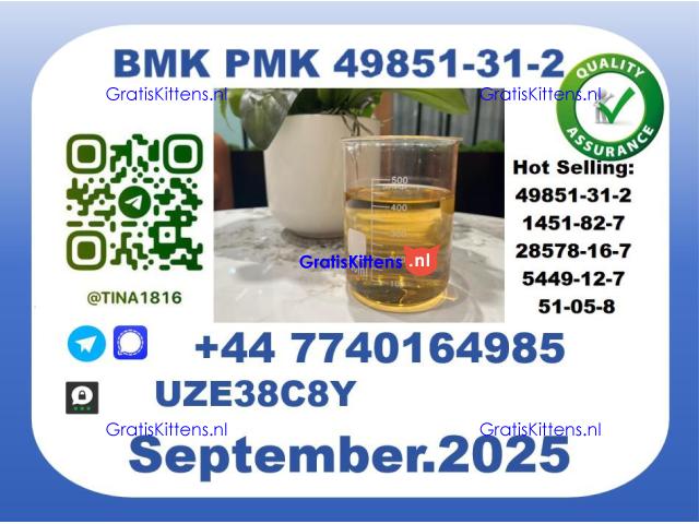 The BMK PMK Oil,CAS 49851-31-2 toppest Factory Supply