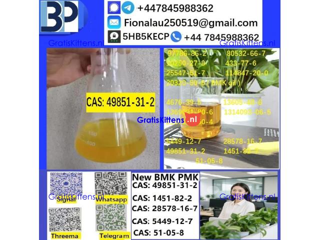 CAS 49851-31-2 2-Bromo-1-phenyl-pentan-1-one High Purity 100% Safe Delivery