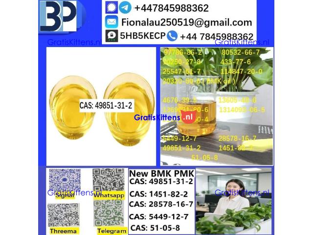 49851-31-2 2-Bromo-1-phenyl-pentan-1-one High Purity 100% Safe Delivery