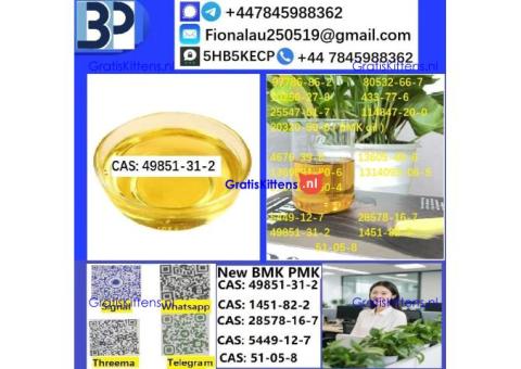 49851-31-2 2-Bromo-1-phenyl-pentan-1-one 100% Safe Delivery