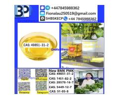 49851-31-2 2-Bromo-1-phenyl-pentan-1-one 100% Safe Delivery