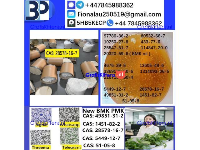 28578-16-7 B.M.K P.M.K Chemical raw materials high purity NICE