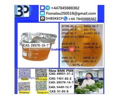 CAS: 28578-16-7 PMK ethyl glycidate Oil/Powder High Purity Source Factory Safe Delivery