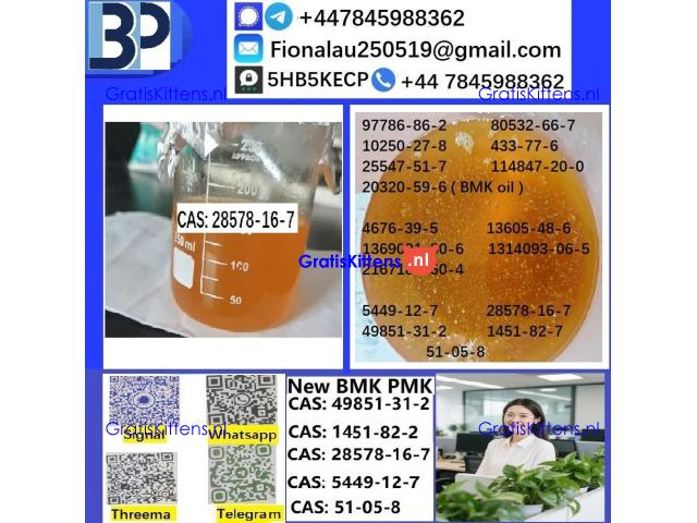 CAS: 28578-16-7 PMK ethyl glycidate Oil/Powder High Purity Source Factory Safe Delivery