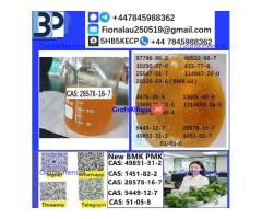 CAS: 28578-16-7 PMK ethyl glycidate Oil/Powder High Purity Source Factory Safe Delivery
