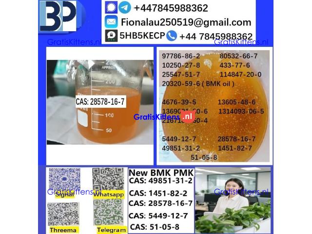 CAS: 28578-16-7 PMK ethyl glycidate Oil/Powder High Purity Source Factory Safe Delivery