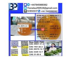 CAS: 28578-16-7 PMK ethyl glycidate Oil/Powder High Purity Source Factory Safe Delivery