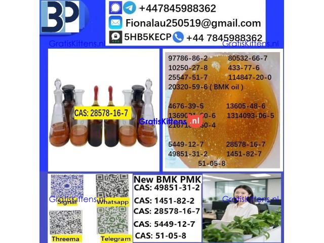 28578-16-7 PMK ethyl glycidate Oil/Powder High Purity Source Factory Safe Delivery