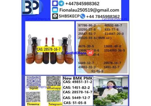 28578-16-7 PMK ethyl glycidate Oil/Powder High Purity Source Factory Safe Delivery