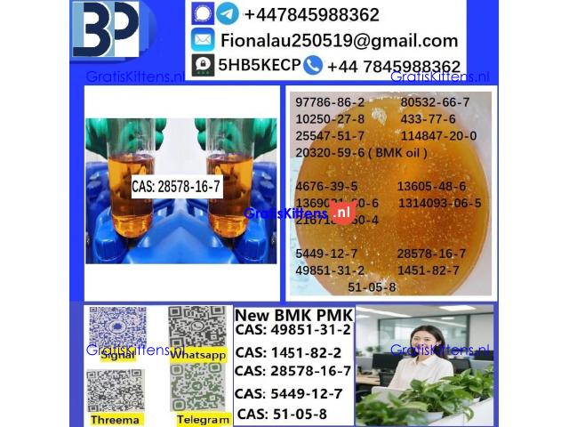 28578-16-7 PMK ethyl glycidate Oil/Powder High Purity Source Factory Safe Delivery