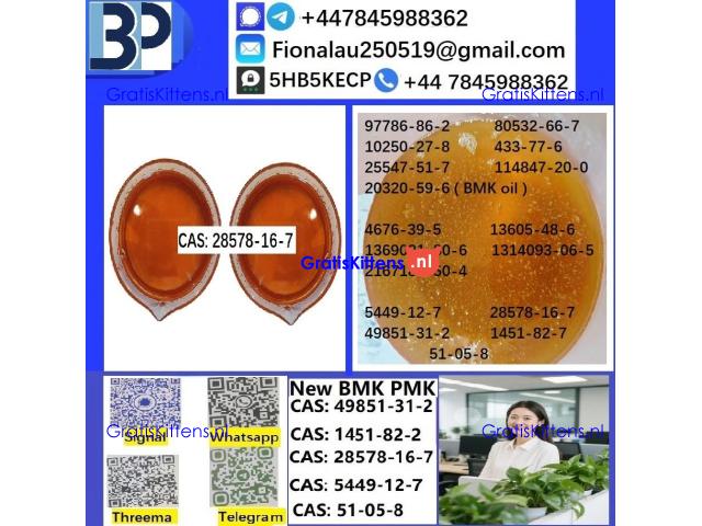 28578-16-7 PMK ethyl glycidate Oil/Powder High Purity Source Factory Safe Delivery