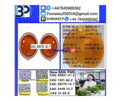 28578-16-7 PMK ethyl glycidate Oil/Powder High Purity Source Factory Safe Delivery