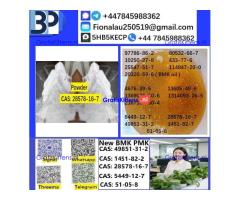 28578-16-7 PMK ethyl glycidate Oil Powder High Purity Source Factory Safe Delivery