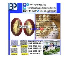 CAS 5449-12-7 BMK Glycidic Acid (sodium salt) With Best Price by First