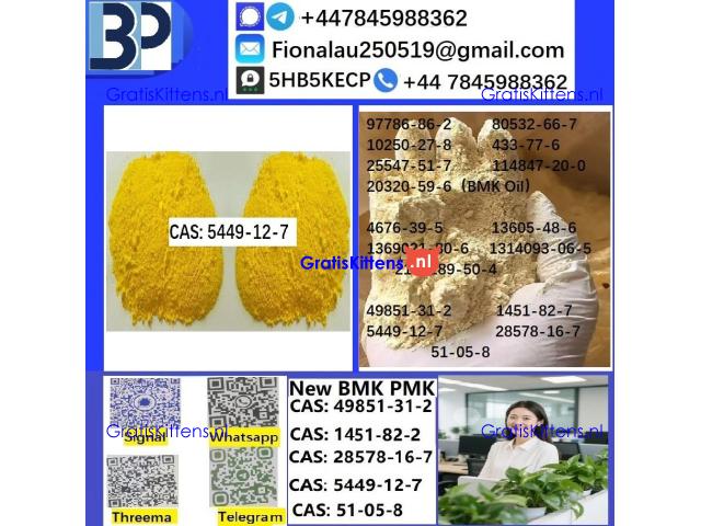 CAS 5449-12-7 BMK Glycidic Acid (sodium salt) With Best Price by First