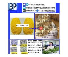 CAS 5449-12-7 BMK Glycidic Acid (sodium salt) With Best Price by First