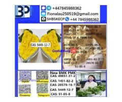 CAS 5449-12-7 BMK Glycidic Acid (sodium salt) With Best Price by First