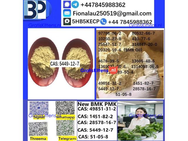 CAS 5449-12-7 BMK Glycidic Acid (sodium salt) With Best Price by First