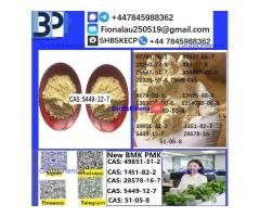 CAS 5449-12-7 BMK Glycidic Acid (sodium salt) With Best Price by First