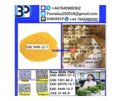 5449-12-7 BMK Glycidic Acid (sodium salt) With Best Price by First