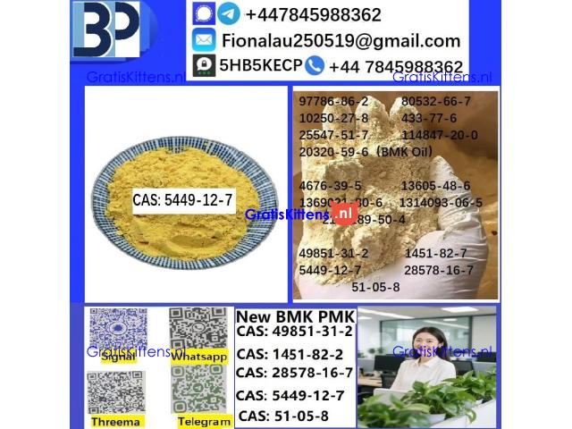 5449-12-7 BMK Glycidic Acid (sodium salt) With Best Price by First