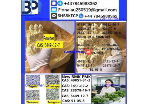 5449-12-7 BMK Glycidic Acid sodium salt With Best Price by First